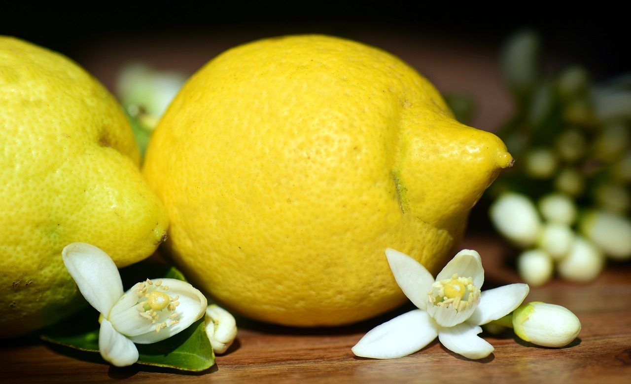 lemons, lemon blossom, blossom-2245524.jpg